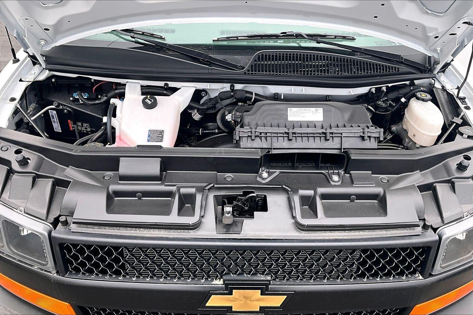 2025 Chevrolet Express Passenger 1LS