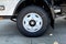 2025 Chevrolet Low Cab Forward 3500 HG Base